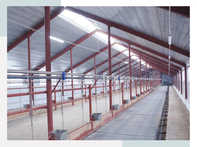 Строительство коровников в Минеральных Водах от 621 руб.