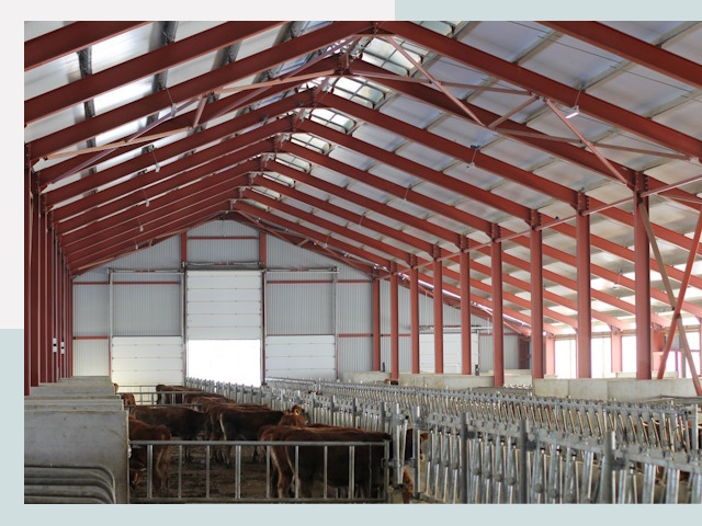 Строительство коровников в Минеральных Водах