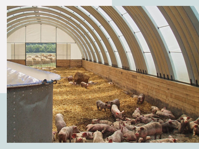 Строительство свинарников в Минеральных Водах