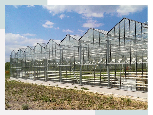 Строительство теплиц в Минеральные Воды от 621 руб. за м²