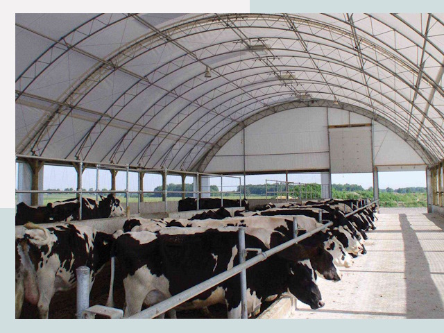 Тентовые коровники в Минеральных Водах